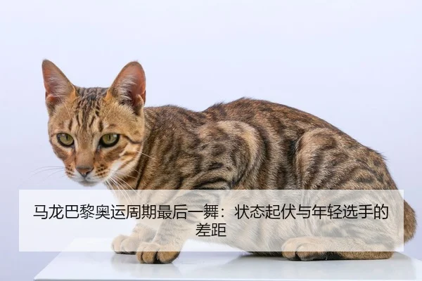 ma-long-ba-li-ao-yun-zhou-qi-zui-hou-yi-wu-zhuang-tai-qi-fu-yu-nian-qing-xuan-shou-de-cha-ju-3-357.jpg