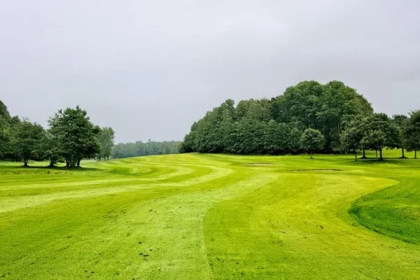 golf course green fairway